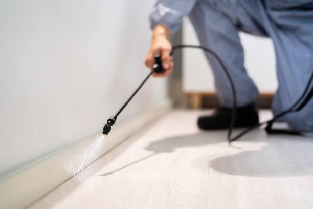 Licensed Fumigation Services service in West Monroe, LA - Nex Pest Control