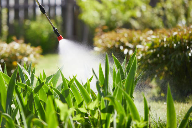 24/7 Emergency Fumigation Services experts in West Monroe, LA