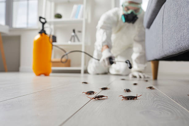 Trusted Fumigation Services service in West Monroe, LA - Nex Pest Control