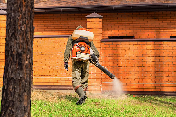Trusted Cockroach Control service in West Monroe, LA - Nex Pest Control